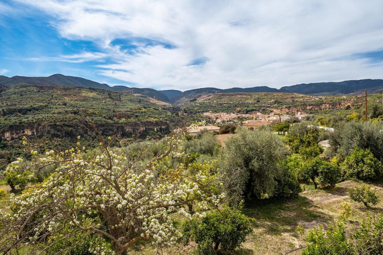 Villa Casilla De Adela à Albuñuelas Extérieur photo
